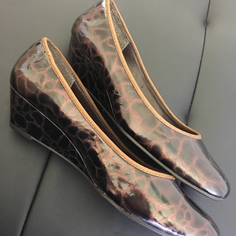 Andrea Rossi Patent Wedge